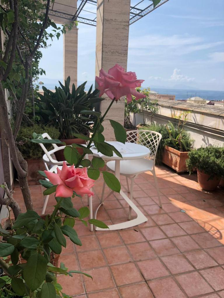 B&B Casamiranapoli מראה חיצוני תמונה